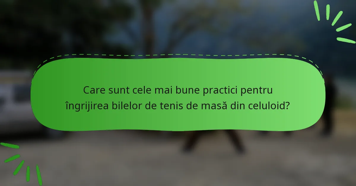 Care sunt cele mai bune practici pentru îngrijirea bilelor de tenis de masă din celuloid?