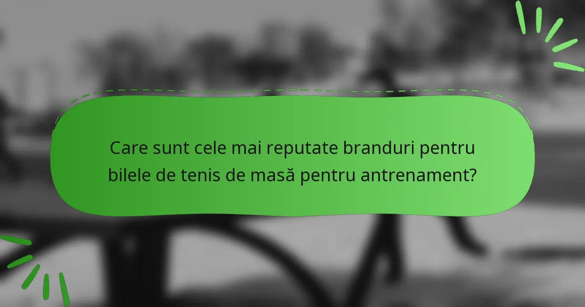 Care sunt cele mai reputate branduri pentru bilele de tenis de masă pentru antrenament?